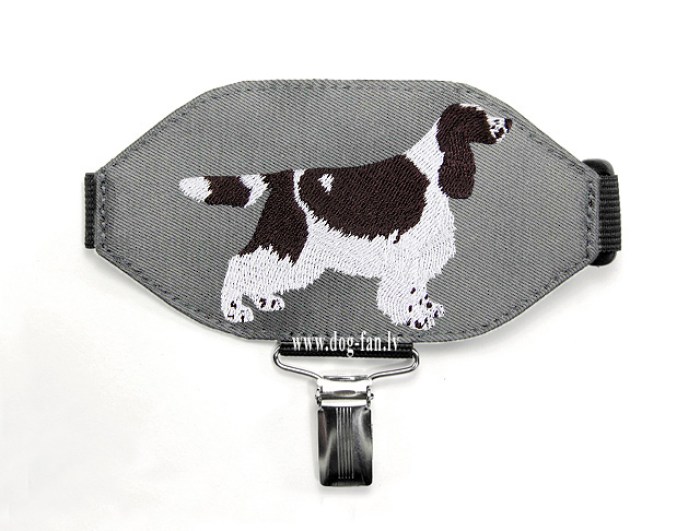 spaniel welsh springer copy